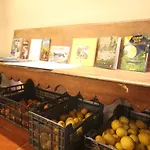 Centre Del Montsec Ostello *